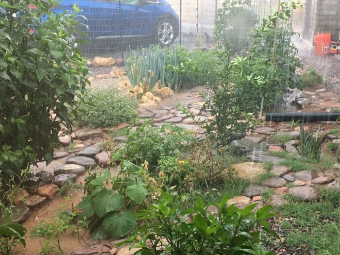 Sunken beds filling with rainwater during monsoon