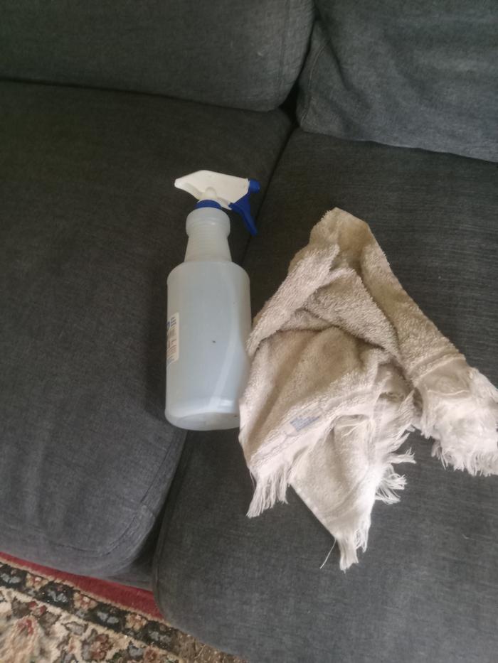 Couch cleaning supplies, Its just vinegar, water and orange oil