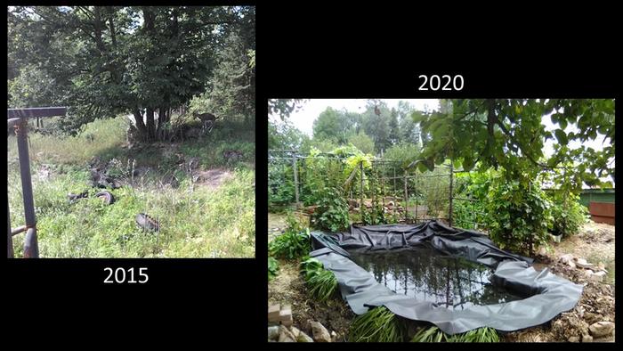 progress pictures of a pond with lattice