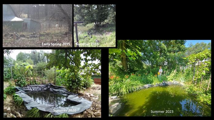 Pond evolution 2015 to 2023