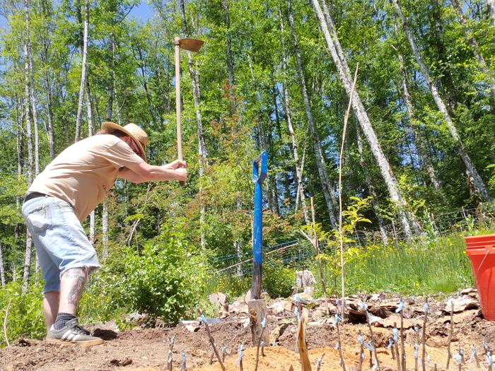 action shot of me clearing a new planting bed