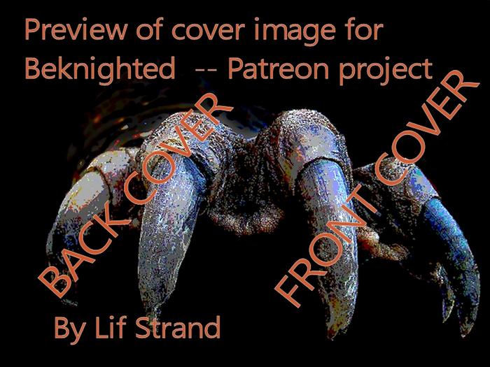 BEKNIGHTED cover image