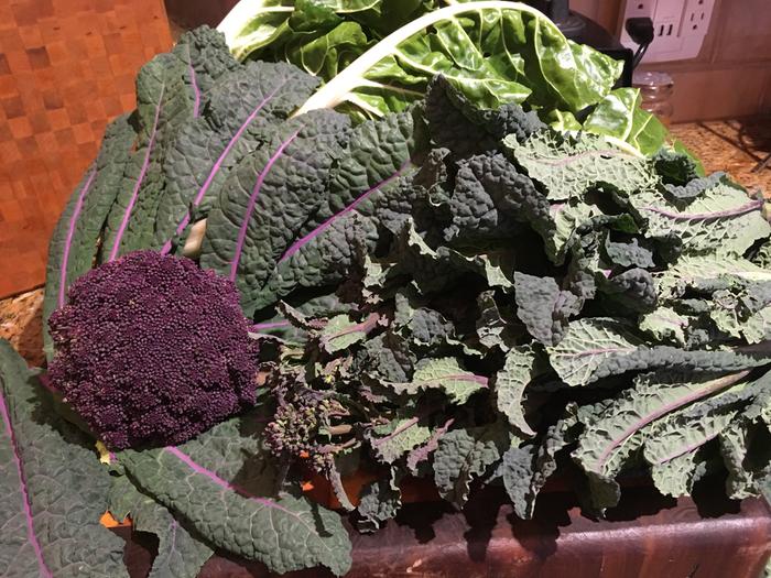 [Thumbnail for Purple-broccoli-kale-and-chard.jpg]