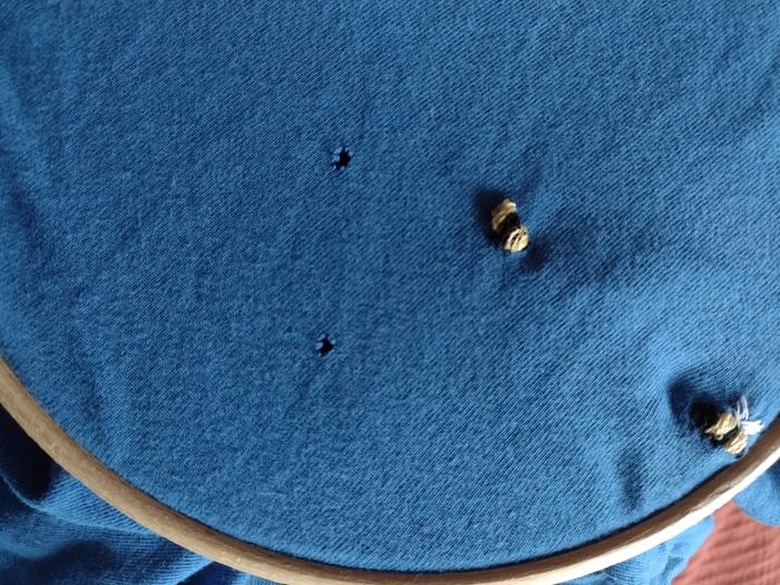 Fabric in hoop with some holes visible and some of the bees I worked over other holes