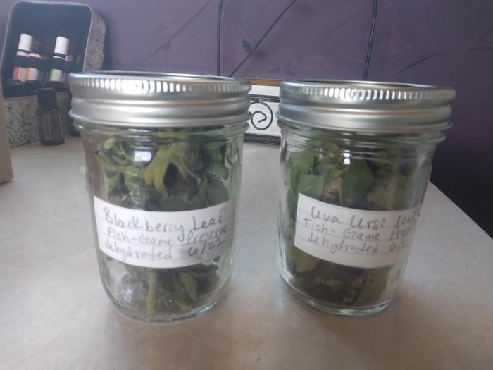 dried and labeled in a jar