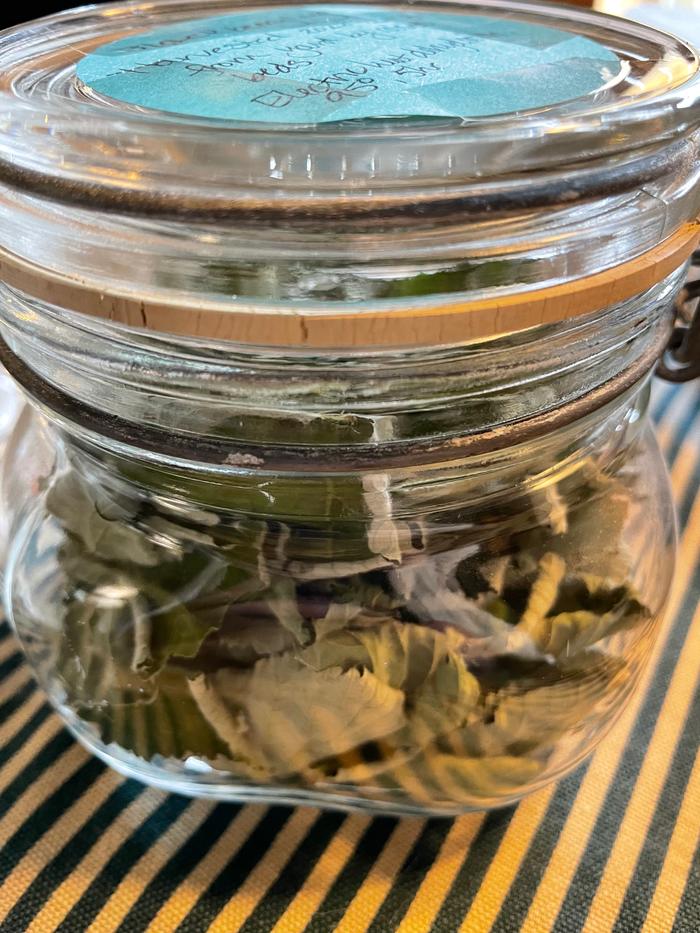 Jar of mostly-whole leaves