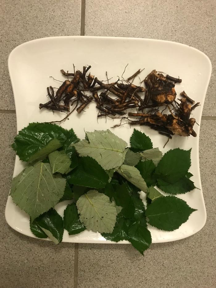 drying for 2 days in a hot room with air extraction,