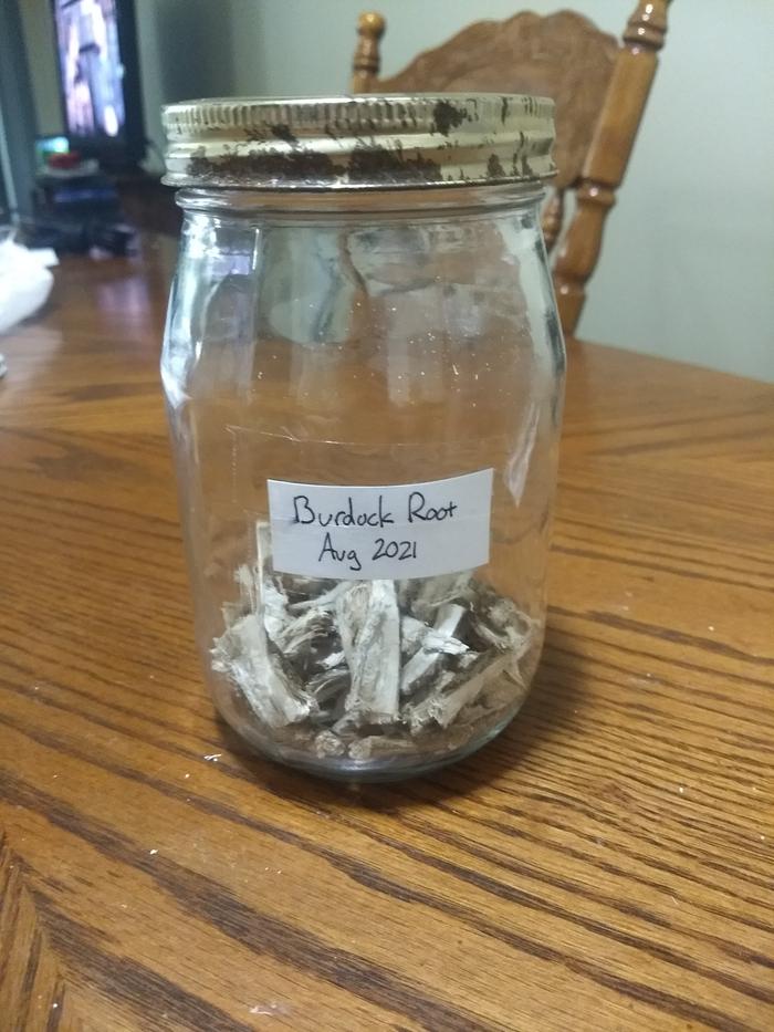 Dried and labeled burdock root.