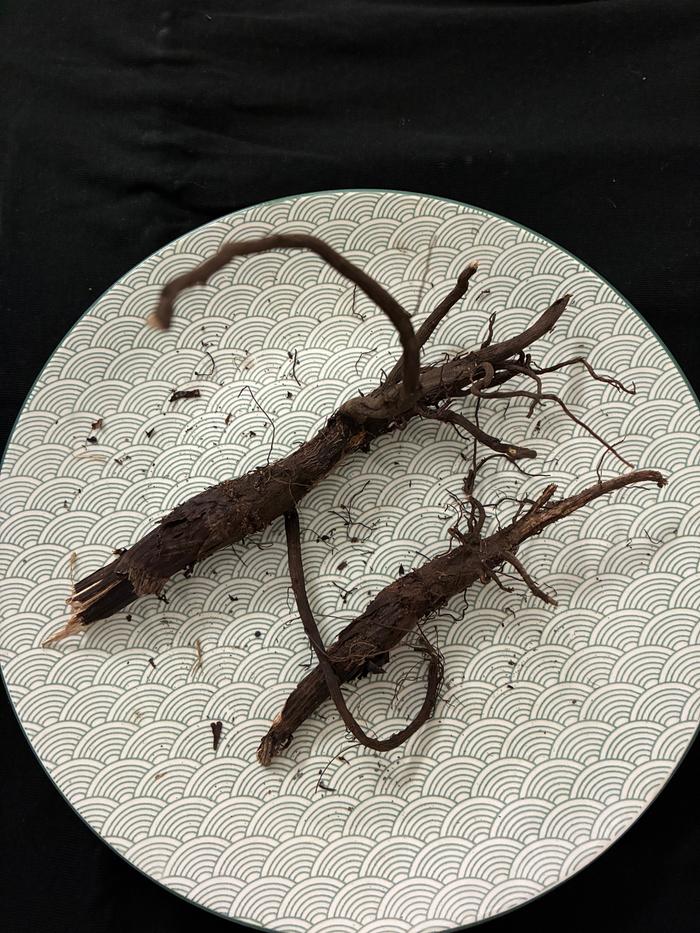 Dried