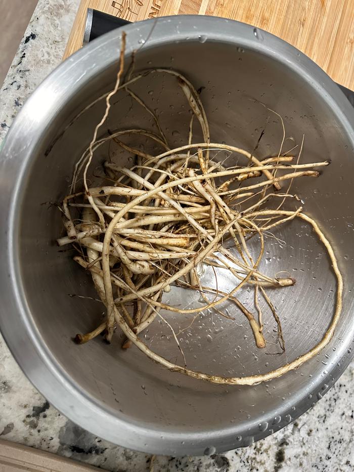 roots harvested