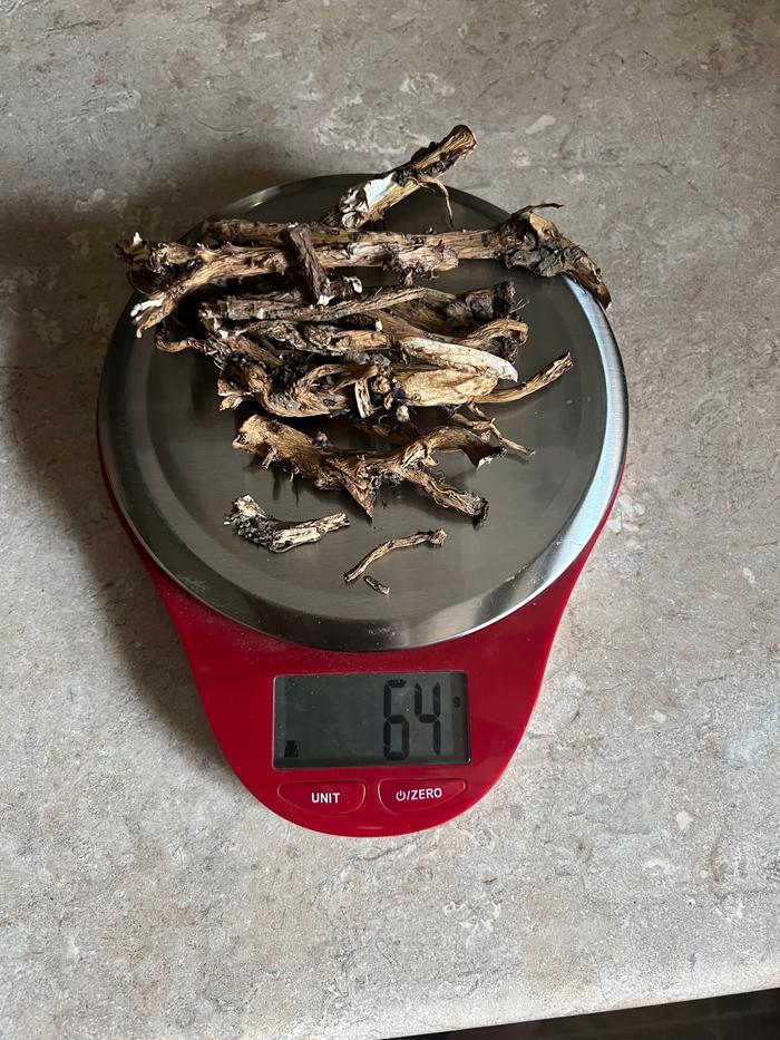 64g dried dandelion root