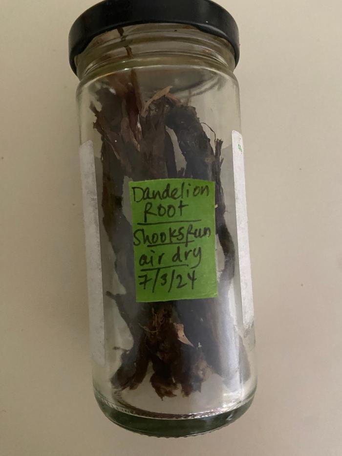 [Thumbnail for dandelion-root_labeled-container.jpg]