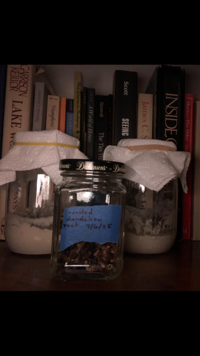 my jarred, roasted roots in a jar w/ a label. pictured with another current project of mine, trying to revive the sourdough starter my sister gave me a year ago that i just kinda left in the fridge.