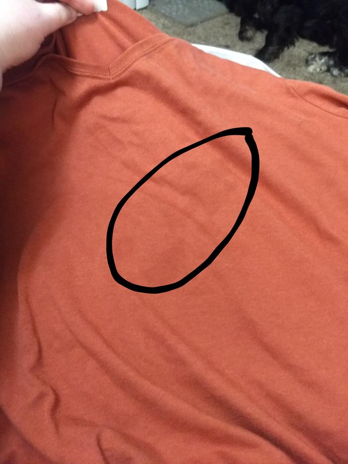 The stain circled, because it's not super obvious if you don't know it's there.