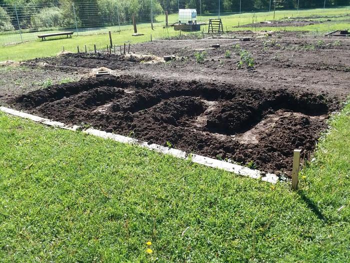 Creative garden path layout