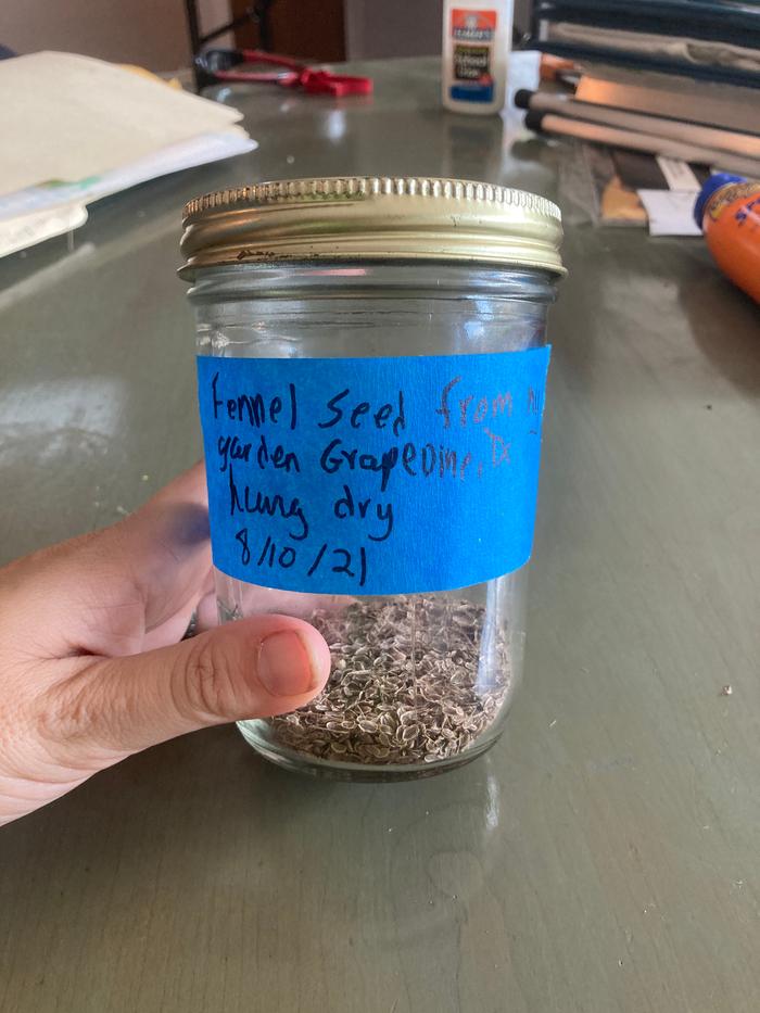 Fennel seeds labeled in a jar