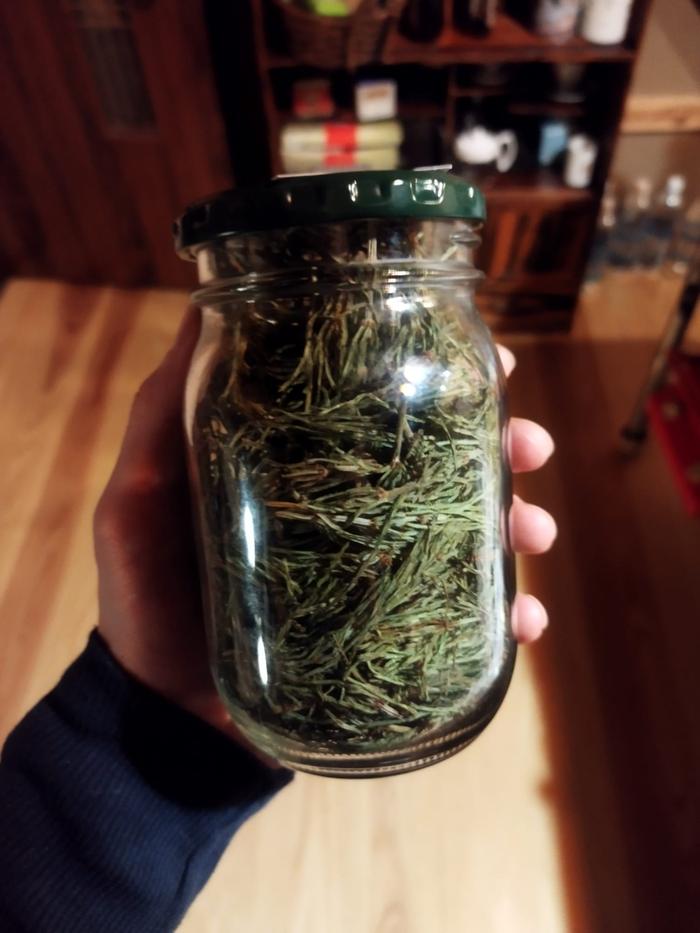 Jar full of dried horsetail