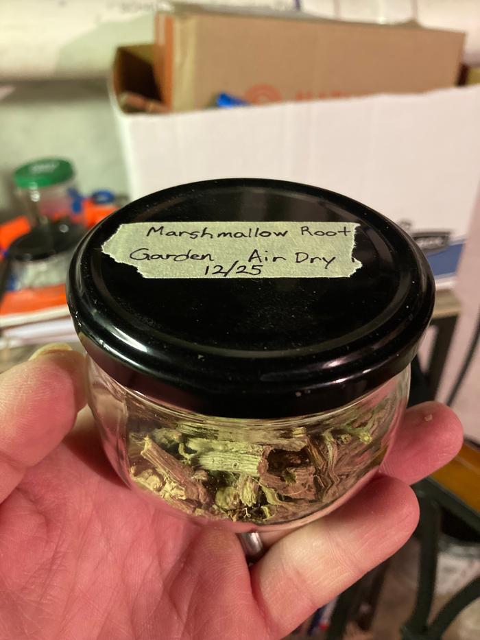 Dried marshmallow root in a labeled container