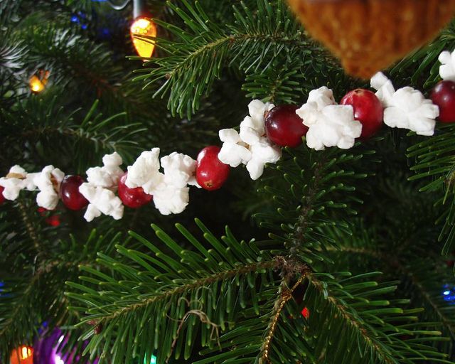 Popcorn/cranberry garlands