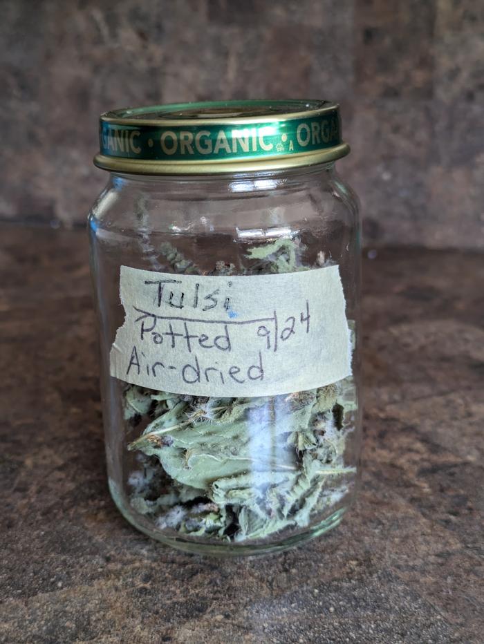 Dried tulsi in labeled jar