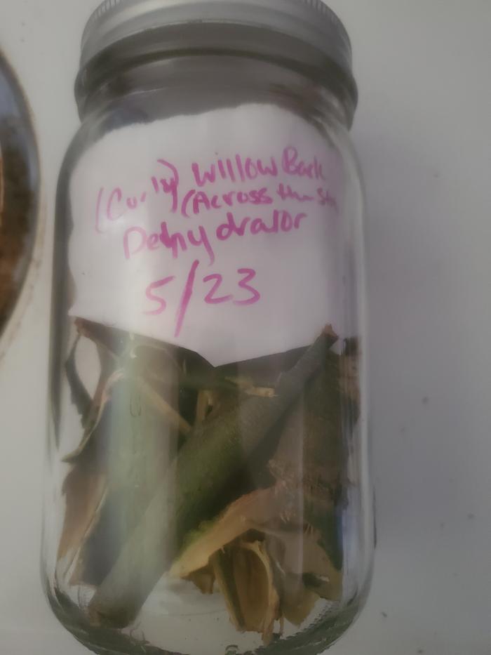 dehydrated willow bark in glass jar