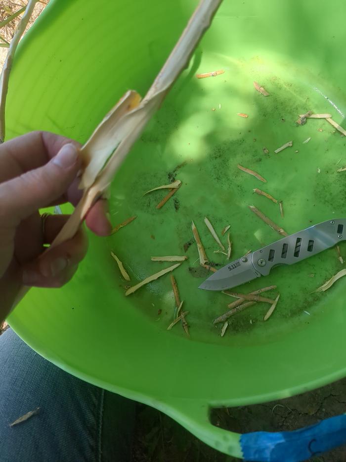 First attempt was to cut off a branch and shave off the bark with the knife, then I realized I could peel it. Aha!