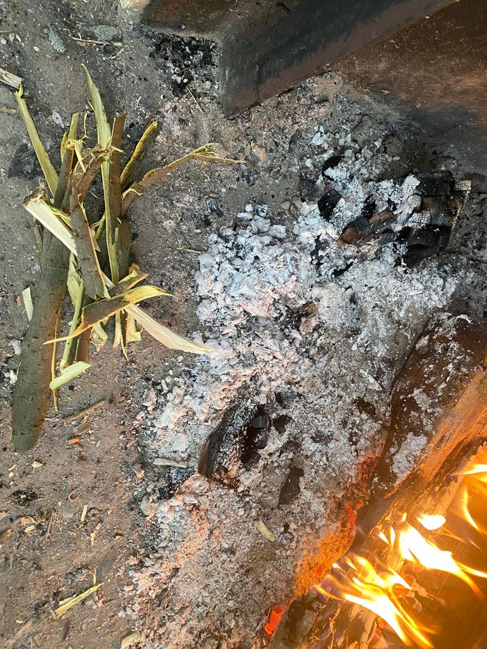 [Thumbnail for IMG_1359.jpeg]