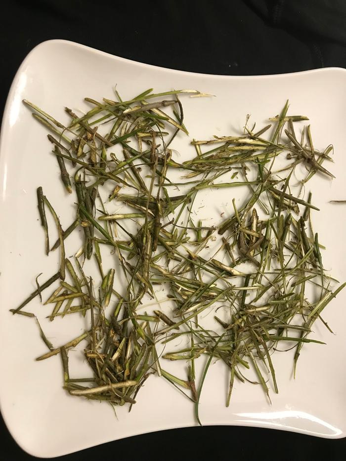 ... dried,