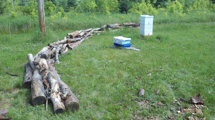 [Thumbnail for 2012-06-09_11-05-09_250.jpg]