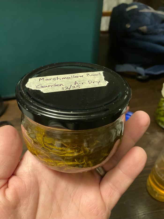 Infusing in extra-virgin olive oil