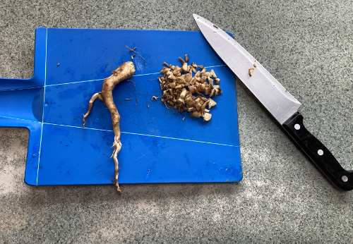 Dicing Mullein Root