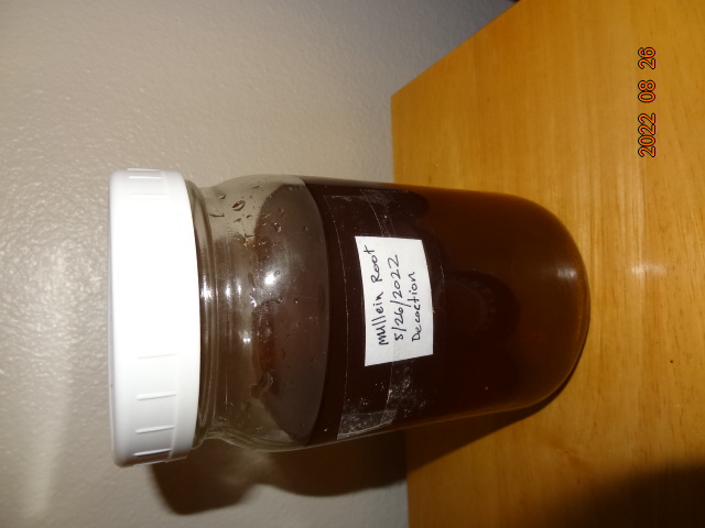 [Thumbnail for finished-decoction-of-mullein-root.JPG]
