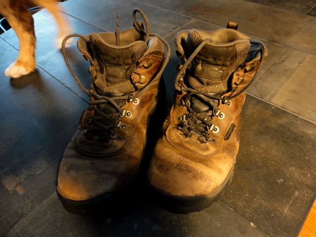 These are the boots in need of some love before I've done anything to them.