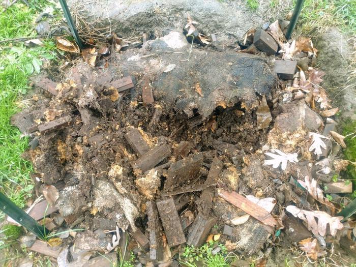 This shot of bed 1 was taken January 1, 2021. Uncovered burlap and forked out a bit. Still smells like mycelium.