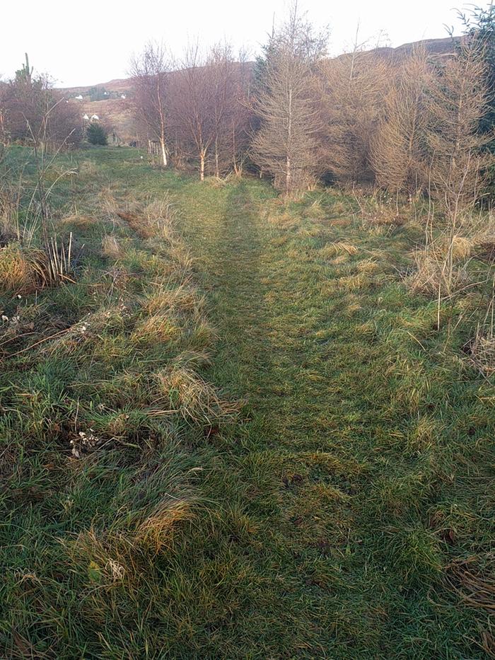 Long shadows