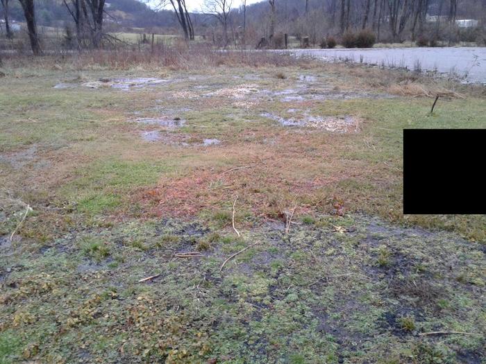 0.25 of back yard in flood zone looking out back on right the bent iron stake is where my yard ends with a 16 foot easment.