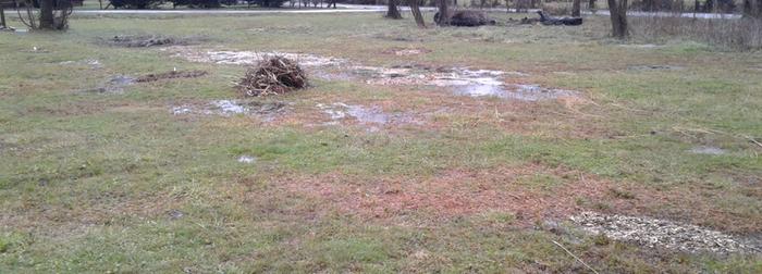 to bury some day plus multi flora rose, vines, etc. I also have tree branches in a separate pile most right pile