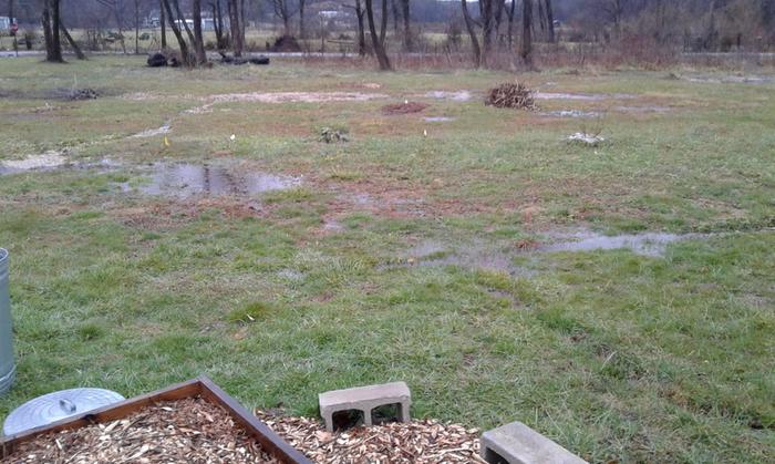 last bed with the beds trying out going back to Eden over winter. I get free tree mulch but often has long branches 3' and thicker 1 inch pieces