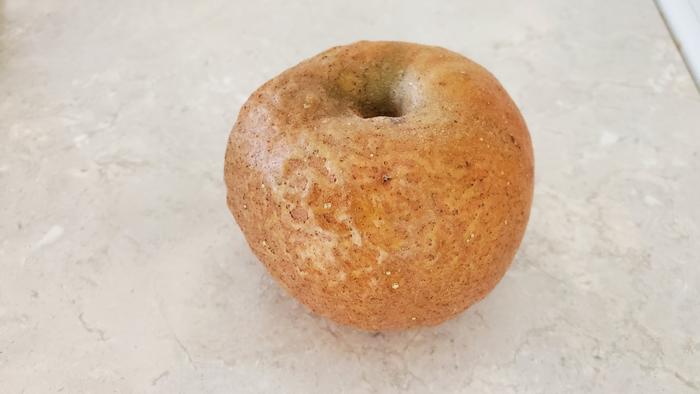 A beautiful ugly Knobbed Russet apple