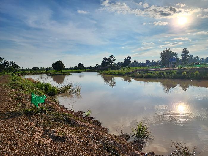 all ground is covered by now and the first rainseason did only little to no damage regarding erosion