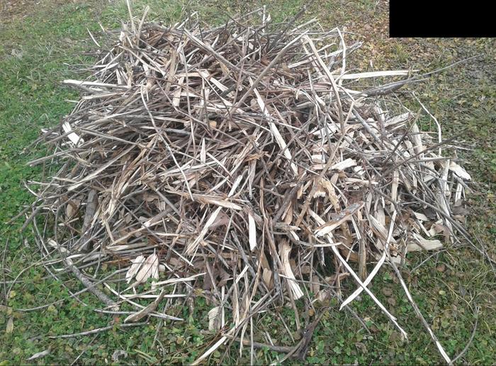 wood chip pile