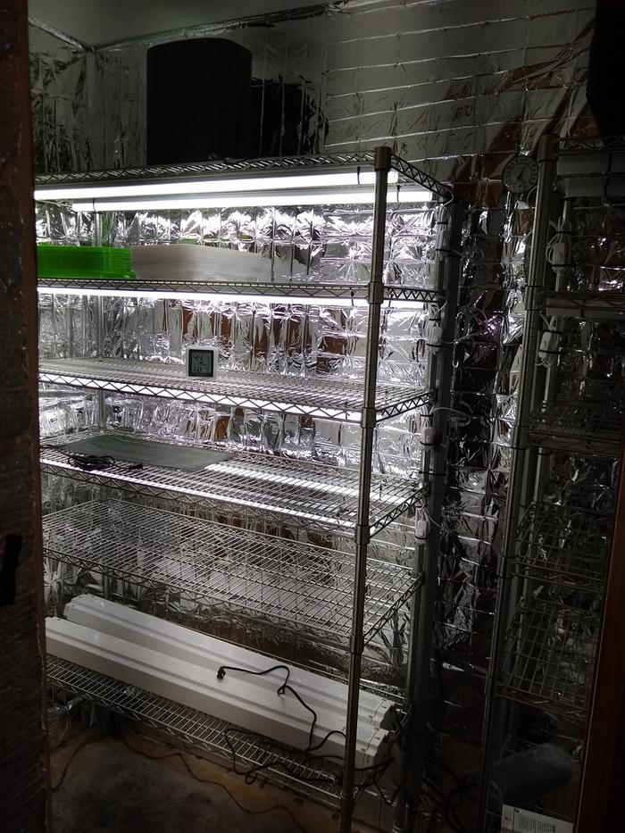 December 2020 built my microgreens/seed starting room.