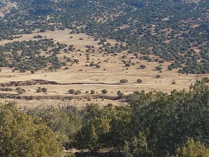 In many of these pictures, my SUV can be seen parked under a tree near a boundary corner. Where's Waldo it if you can...