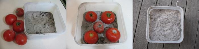 Bedding tomatoes down for long-term storage!