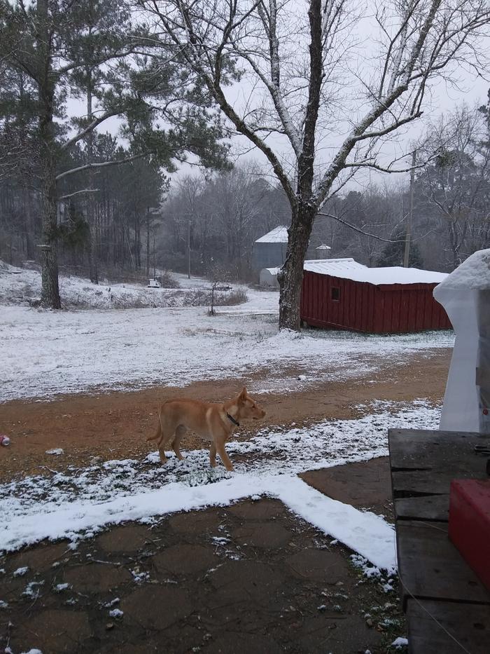 1st snow in long time