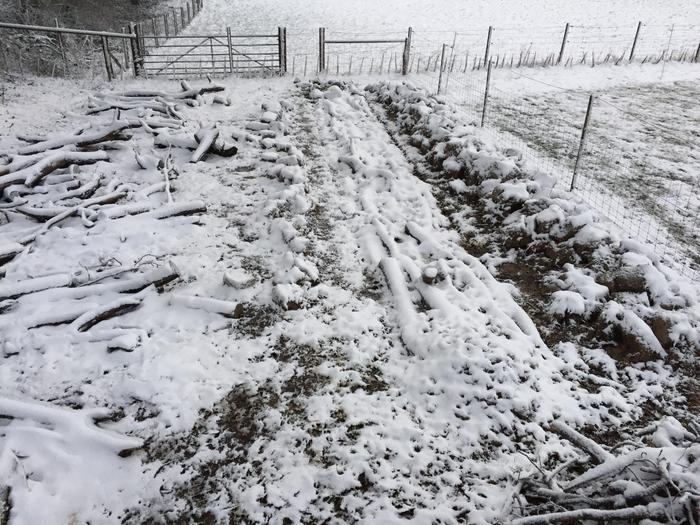 hugelbed-hugelcultur-construction-snow