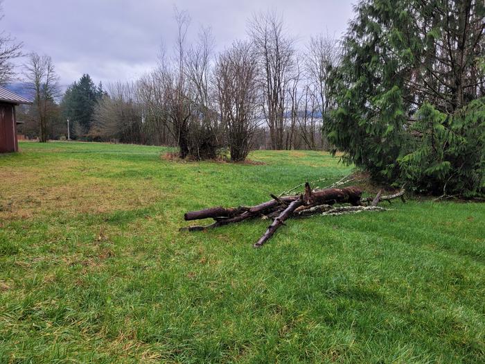 First few logs set in place at the base of the Hügelkultur.