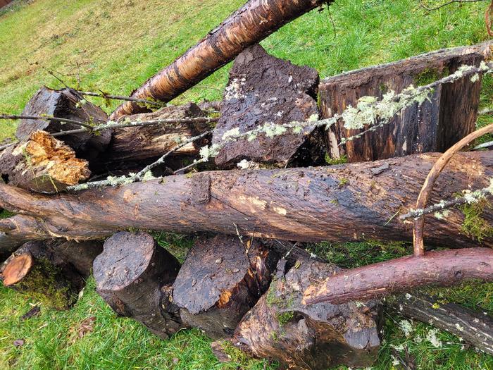 Old firewood rounds.