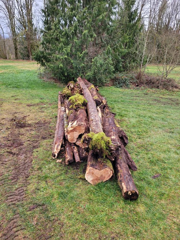 A long alder down the top.