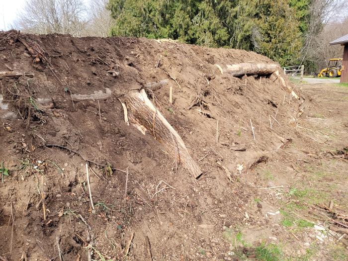 Planted everything, stakes marking potatoes and sunchokes.